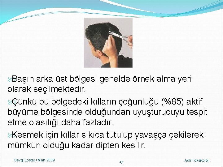  Başın arka üst bölgesi genelde örnek alma yeri olarak seçilmektedir. Çünkü bu bölgedeki