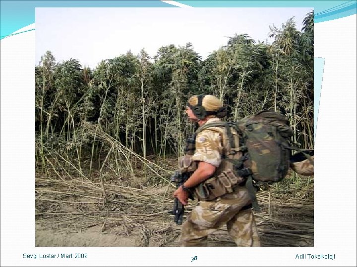 Sevgi Lostar / Mart 2009 38 Adli Toksikoloji Sevgi Lostar / Mart 2009 38 Adli Toksikoloji