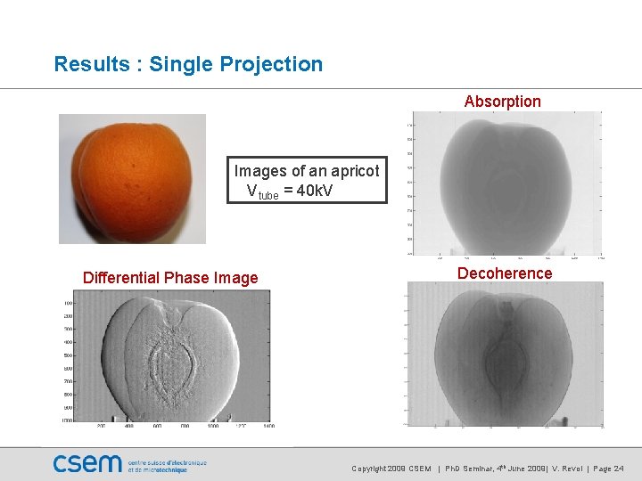 Results : Single Projection Absorption Images of an apricot Vtube = 40 k. V Results : Single Projection Absorption Images of an apricot Vtube = 40 k. V