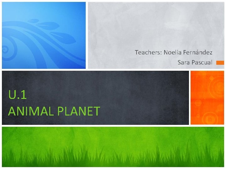 Teachers: Noelia Fernández Sara Pascual U. 1 ANIMAL PLANET 