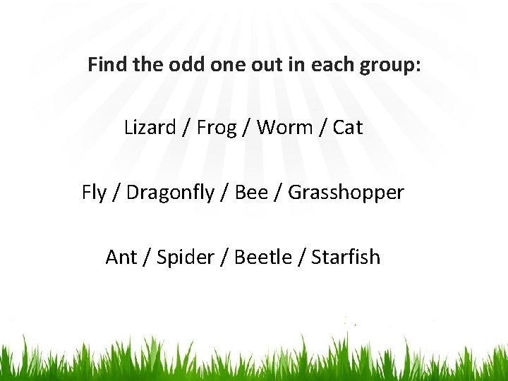 Find the odd one out in each group: Lizard / Frog / Worm /