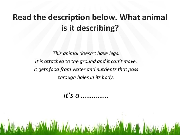 Read the description below. What animal is it describing? This animal doesn’t have legs.