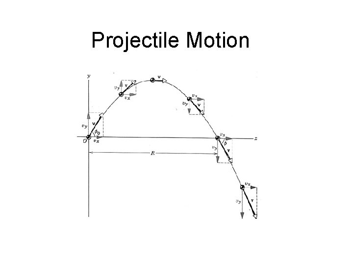 Projectile Motion 