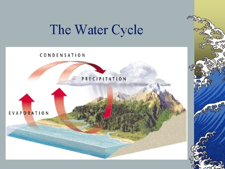 The Water Cycle 