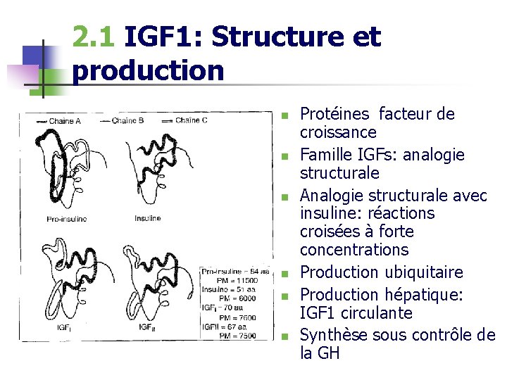 2. 1 IGF 1: Structure et production n n n Protéines facteur de croissance