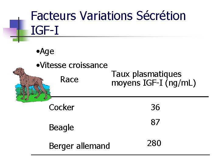 Facteurs Variations Sécrétion IGF-I • Age • Vitesse croissance Race Cocker Beagle Berger allemand