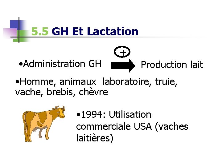 5. 5 GH Et Lactation • Administration GH + Production lait • Homme, animaux