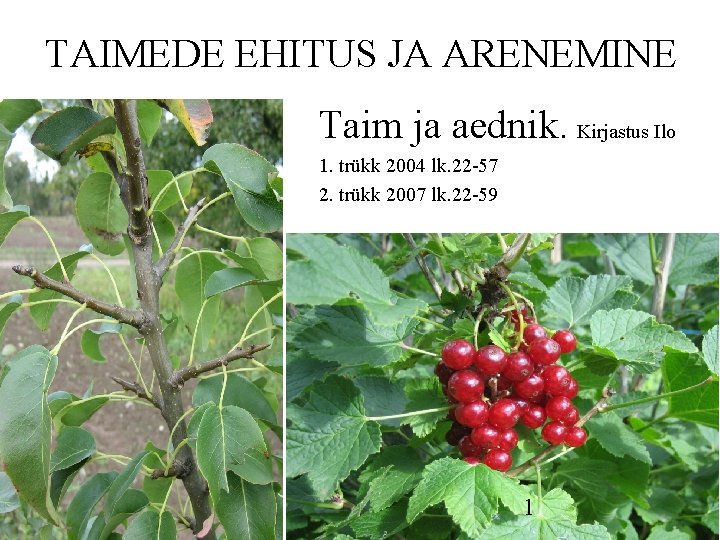 TAIMEDE EHITUS JA ARENEMINE Taim ja aednik. Kirjastus Ilo 1. trükk 2004 lk. 22 TAIMEDE EHITUS JA ARENEMINE Taim ja aednik. Kirjastus Ilo 1. trükk 2004 lk. 22