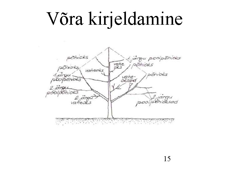 Võra kirjeldamine 15 Võra kirjeldamine 15