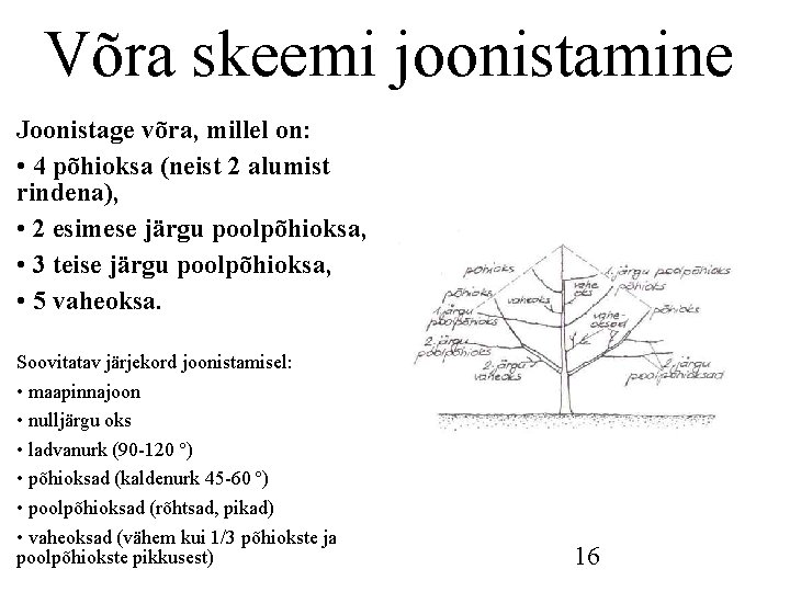 Võra skeemi joonistamine Joonistage võra, millel on: • 4 põhioksa (neist 2 alumist rindena), Võra skeemi joonistamine Joonistage võra, millel on: • 4 põhioksa (neist 2 alumist rindena),