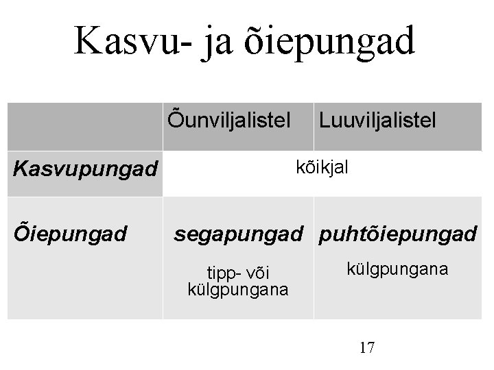 Kasvu- ja õiepungad Õunviljalistel Kasvupungad Õiepungad Luuviljalistel kõikjal segapungad puhtõiepungad tipp- või külgpungana 17 Kasvu- ja õiepungad Õunviljalistel Kasvupungad Õiepungad Luuviljalistel kõikjal segapungad puhtõiepungad tipp- või külgpungana 17