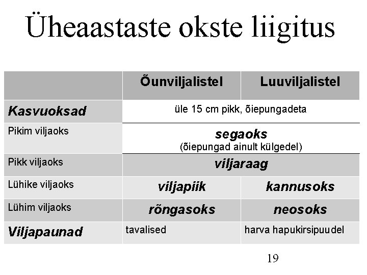 Üheaastaste okste liigitus Õunviljalistel Luuviljalistel üle 15 cm pikk, õiepungadeta Kasvuoksad Pikim viljaoks segaoks Üheaastaste okste liigitus Õunviljalistel Luuviljalistel üle 15 cm pikk, õiepungadeta Kasvuoksad Pikim viljaoks segaoks
