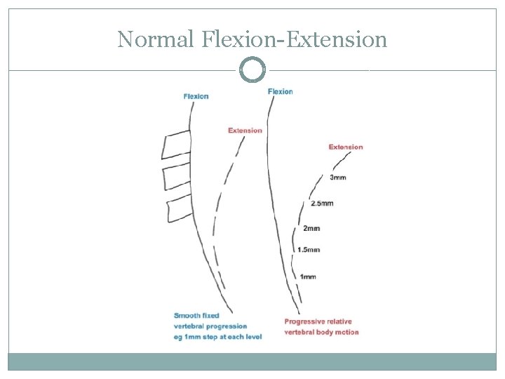 Normal Flexion-Extension 