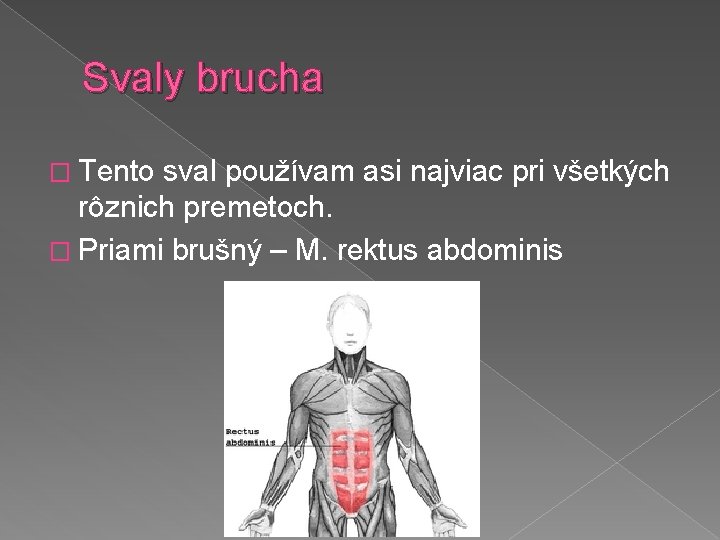 Svaly brucha � Tento sval používam asi najviac pri všetkých rôznich premetoch. � Priami