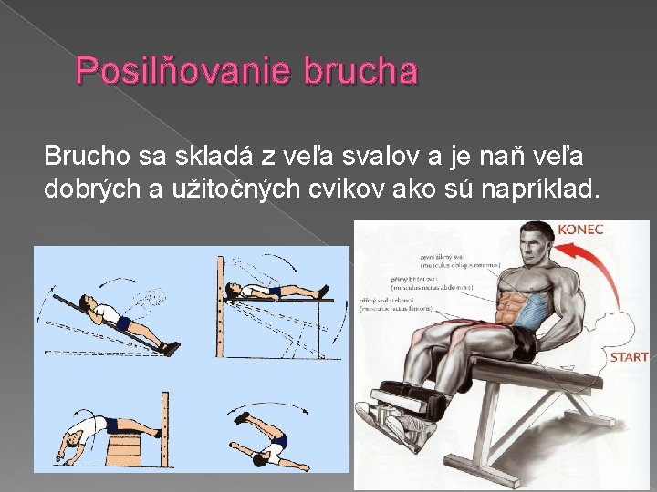 Posilňovanie brucha Brucho sa skladá z veľa svalov a je naň veľa dobrých a