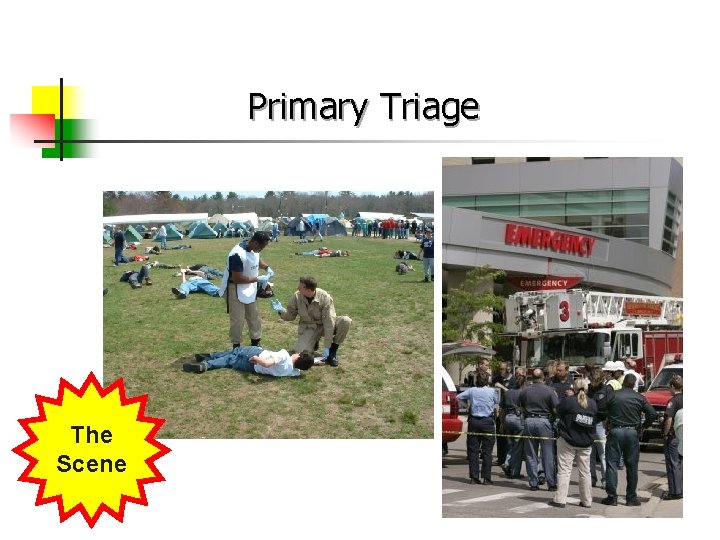 Primary Triage The Scene 