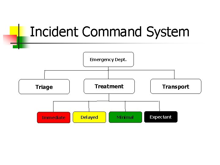 Incident Command System Emergency Dept. Triage Immediate Treatment Delayed Minimal Transport Expectant 