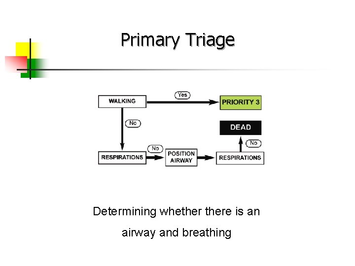 Primary Triage Determining whethere is an airway and breathing 