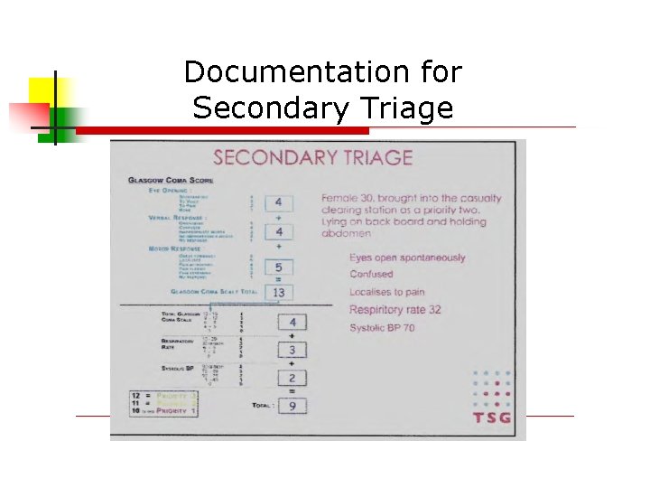 Documentation for Secondary Triage 