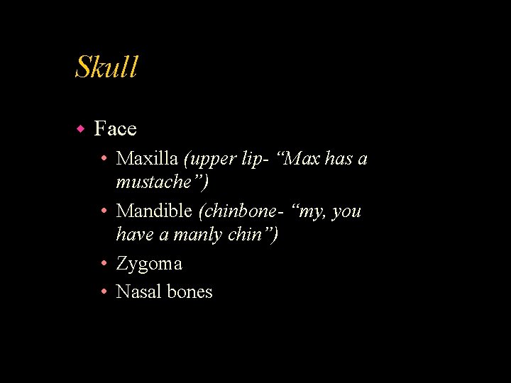 Skull w Face • Maxilla (upper lip- “Max has a mustache”) • Mandible (chinbone-