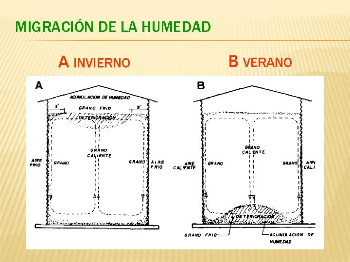 MIGRACIÓN DE LA HUMEDAD A INVIERNO B VERANO 