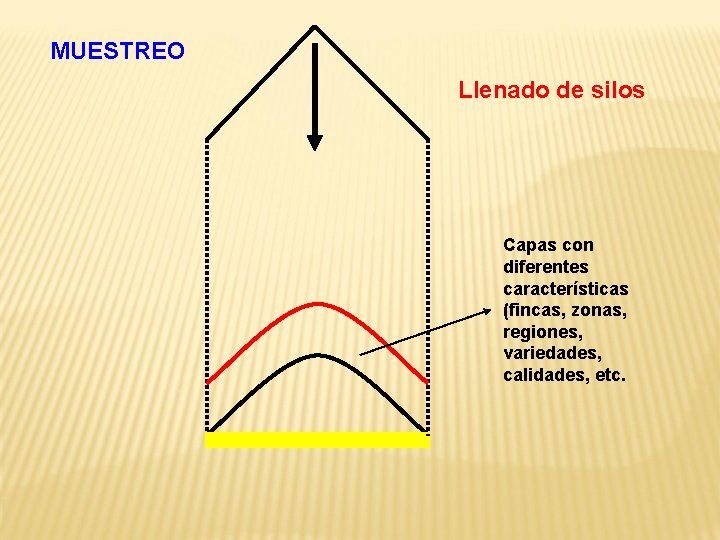 MUESTREO Llenado de silos Capas con diferentes características (fincas, zonas, regiones, variedades, calidades, etc.