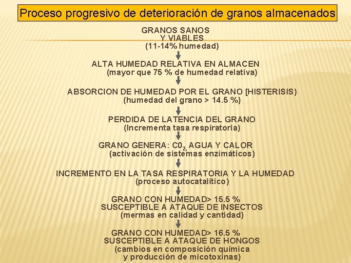 Proceso progresivo de deterioración de granos almacenados GRANOS SANOS Y VIABLES (11 -14% humedad)