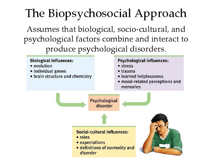 The Biopsychosocial Approach Assumes that biological, socio-cultural, and psychological factors combine and interact to