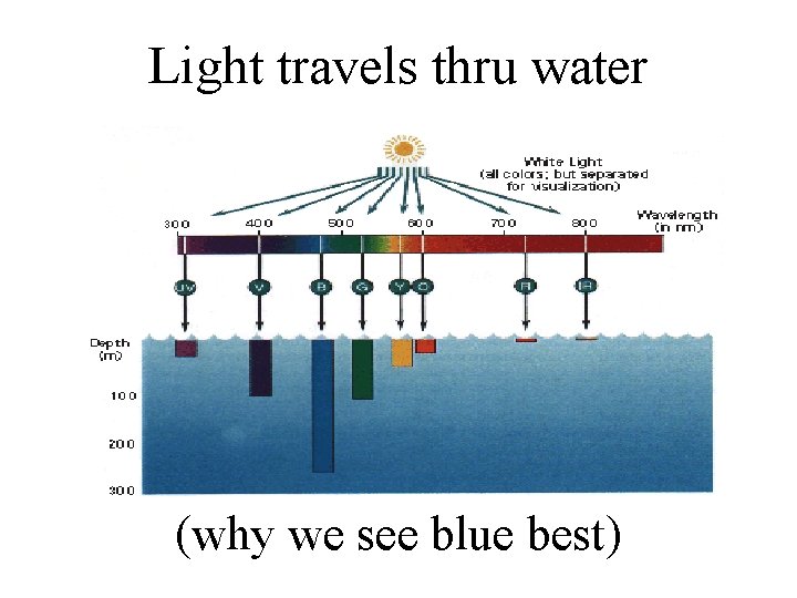 Light travels thru water (why we see blue best) 