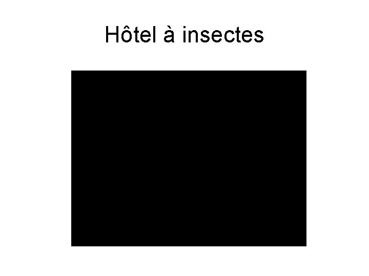 Hôtel à insectes 