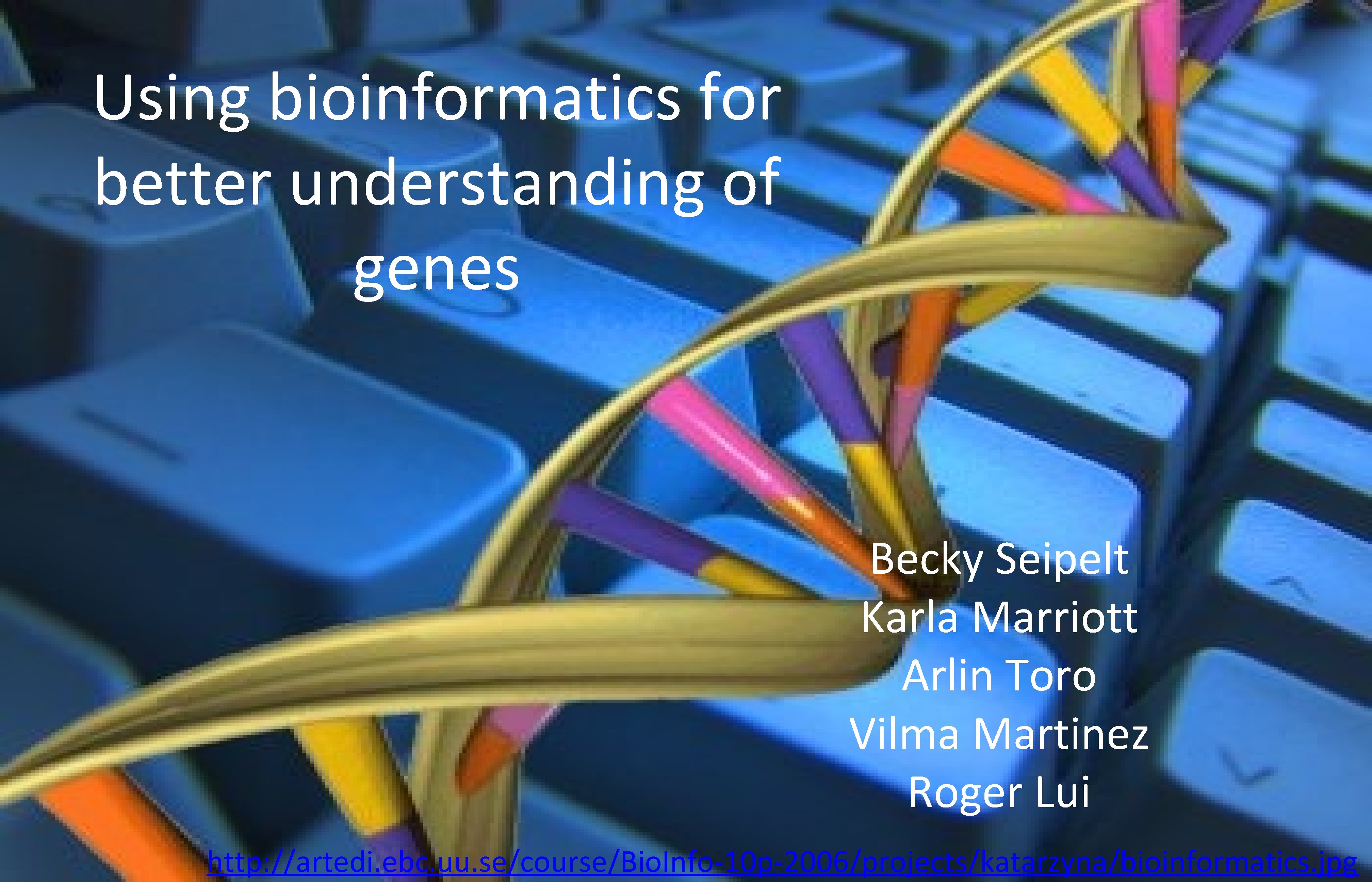 Using bioinformatics for better understanding of genes Becky Seipelt Karla Marriott Arlin Toro Vilma