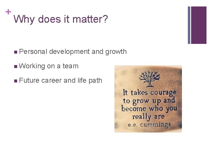 + Why does it matter? n Personal n Working n Future development and growth