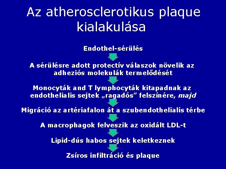 Az atherosclerotikus plaque kialakulása Endothel-sérülés A sérülésre adott protectív válaszok növelik az adheziós molekulák