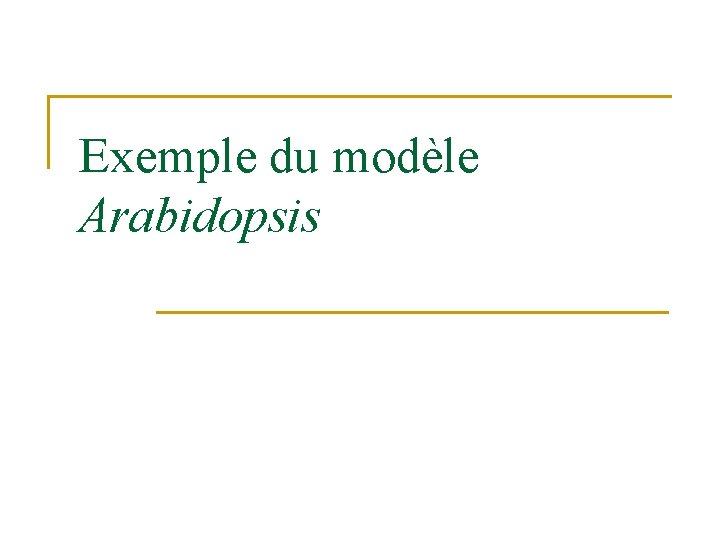 Exemple du modèle Arabidopsis 