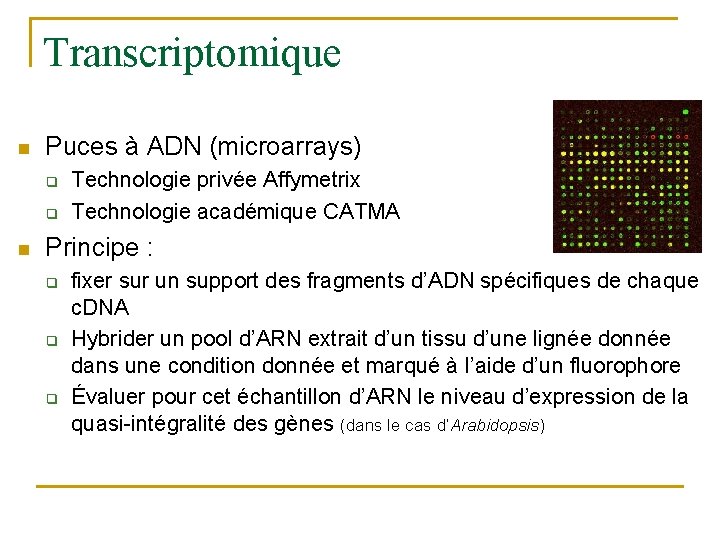 Transcriptomique n Puces à ADN (microarrays) q q n Technologie privée Affymetrix Technologie académique