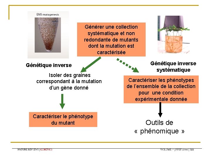 Générer une collection systématique et non redondante de mutants dont la mutation est caractérisée