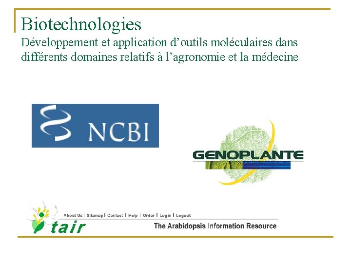 Biotechnologies Développement et application d’outils moléculaires dans différents domaines relatifs à l’agronomie et la