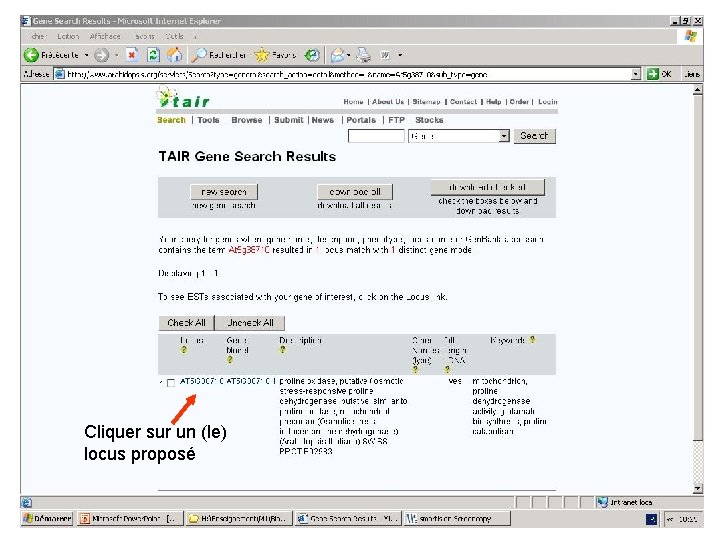 Cliquer sur un (le) locus proposé 