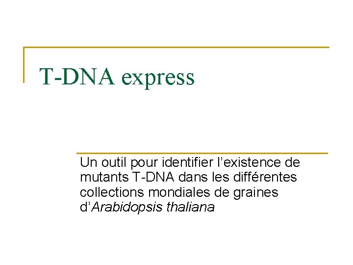 T-DNA express Un outil pour identifier l’existence de mutants T-DNA dans les différentes collections