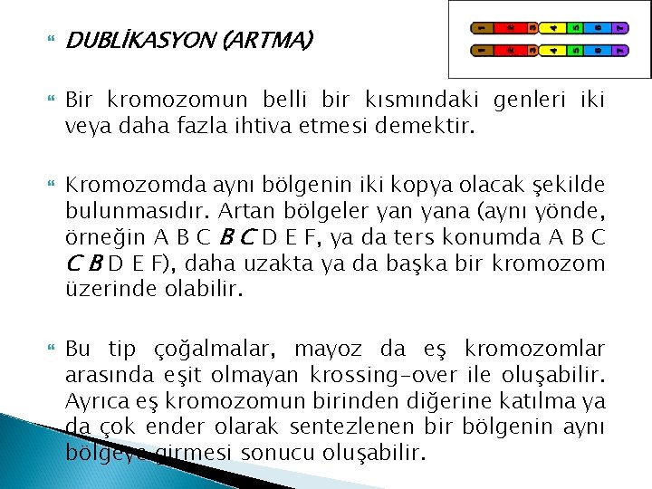  DUBLİKASYON (ARTMA) Bir kromozomun belli bir kısmındaki genleri iki veya daha fazla ihtiva