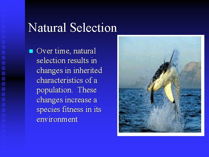 Natural Selection n Over time, natural selection results in changes in inherited characteristics of