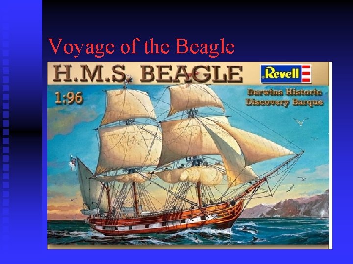 Voyage of the Beagle 