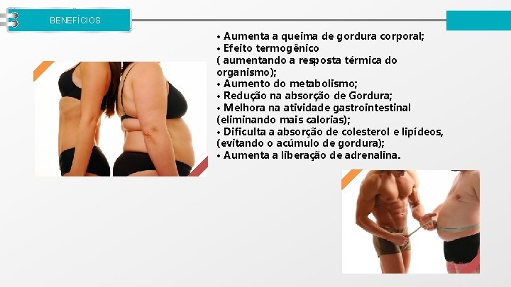 LOGO BENEFÍCIOS • Aumenta a queima de gordura corporal; • Efeito termogênico ( aumentando
