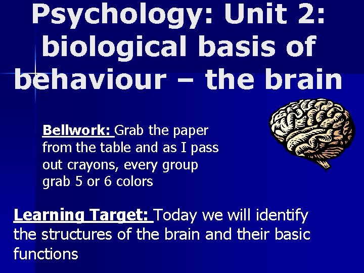 Psychology: Unit 2: biological basis of behaviour – the brain Bellwork: Grab the paper