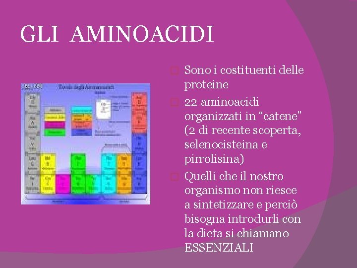 GLI AMINOACIDI Sono i costituenti delle proteine � 22 aminoacidi organizzati in “catene” (2