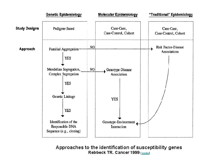 Approaches to the identification of susceptibility genes Rebbeck TR. Cancer 1999 (www) 