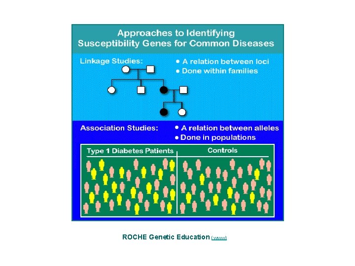 ROCHE Genetic Education (www) 