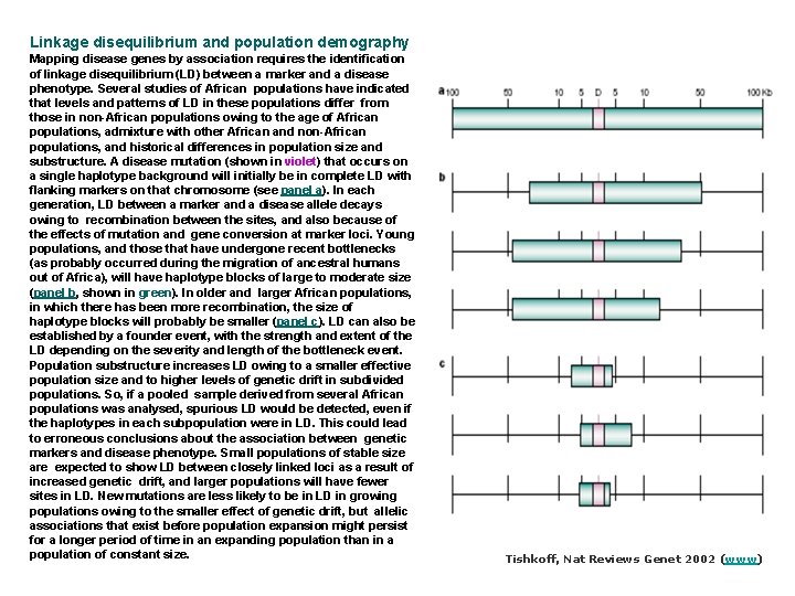 Linkage disequilibrium and population demography Mapping disease genes by association requires the identification of