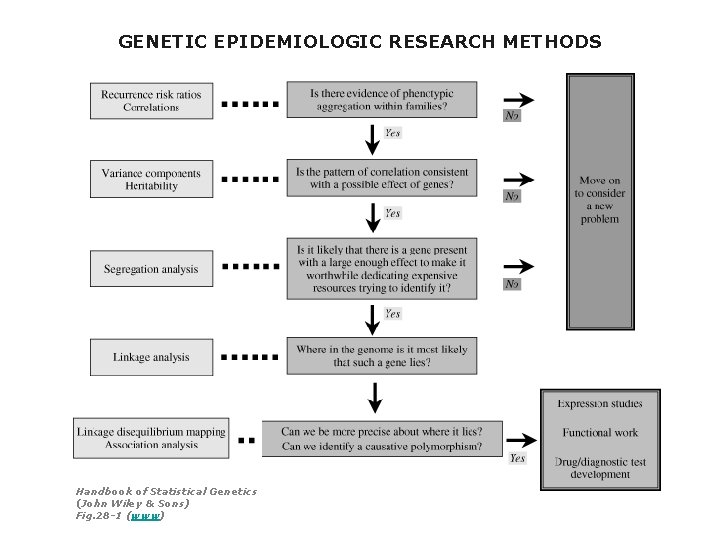 GENETIC EPIDEMIOLOGIC RESEARCH METHODS Handbook of Statistical Genetics (John Wiley & Sons) Fig. 28