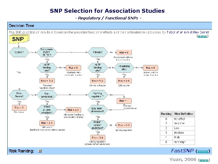 SNP Selection for Association Studies - Regulatory / Functional SNPs - (www) Fast. SNP